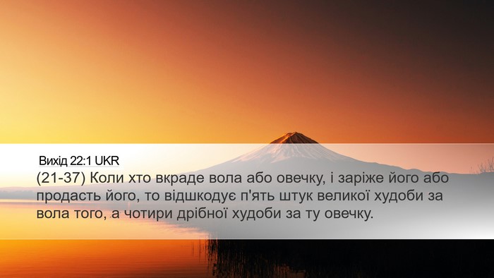 Вихід 22:1 UKR Bible Verse Image