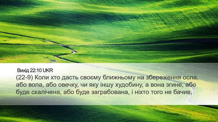 Вихід 22:10 UKR Bible Verse Image