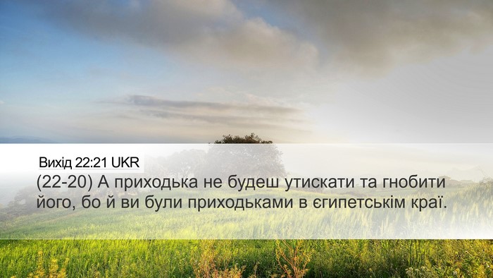 Вихід 22:21 UKR Bible Verse Image