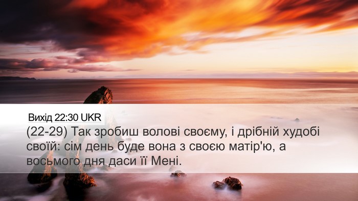 Вихід 22:30 UKR Bible Verse Image