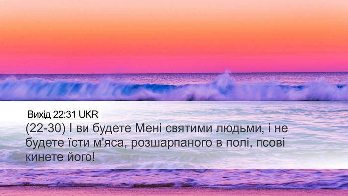 Вихід 22:31 UKR Bible Verse Image