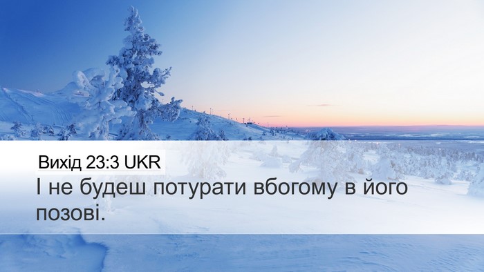 Вихід 23:3 UKR Bible Verse Image