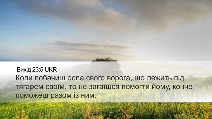 Вихід 23:5 UKR Bible Verse Image