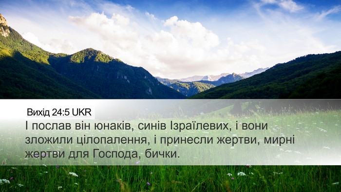 Вихід 24:5 UKR Bible Verse Image