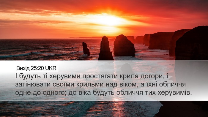 Вихід 25:20 UKR Bible Verse Image