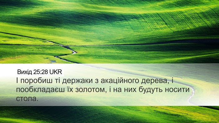 Вихід 25:28 UKR Bible Verse Image