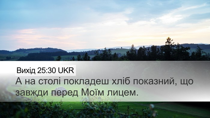 Вихід 25:30 UKR Bible Verse Image