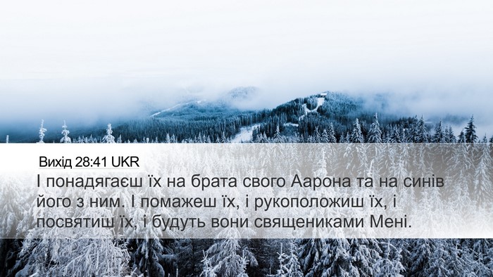 Вихід 28:41 UKR Bible Verse Image