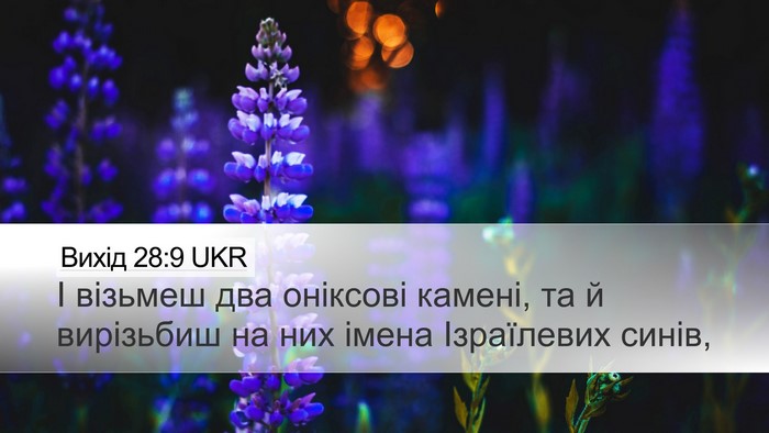 Вихід 28:9 UKR Bible Verse Image