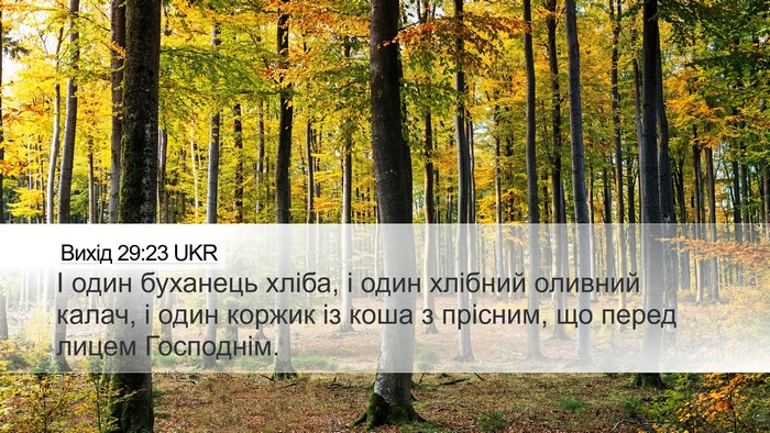 Вихід 29:23 UKR Bible Verse Image