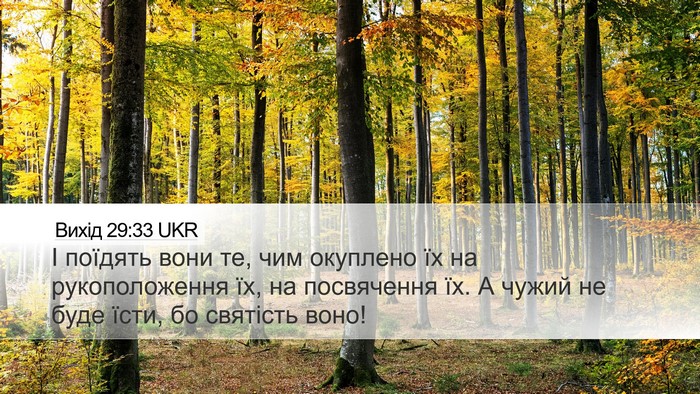 Вихід 29:33 UKR Bible Verse Image