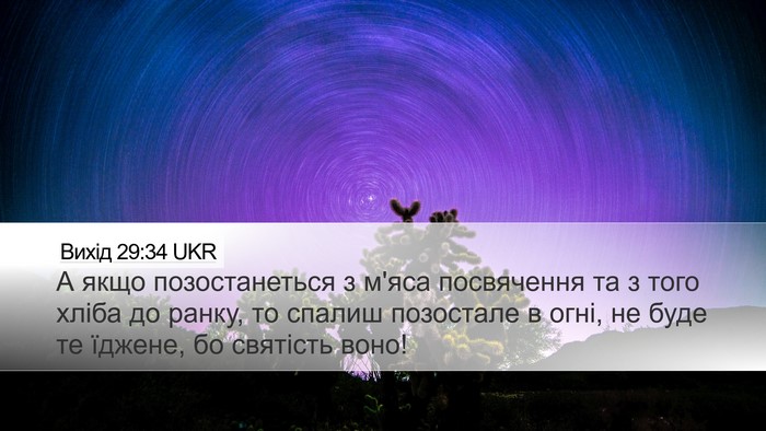 Вихід 29:34 UKR Bible Verse Image
