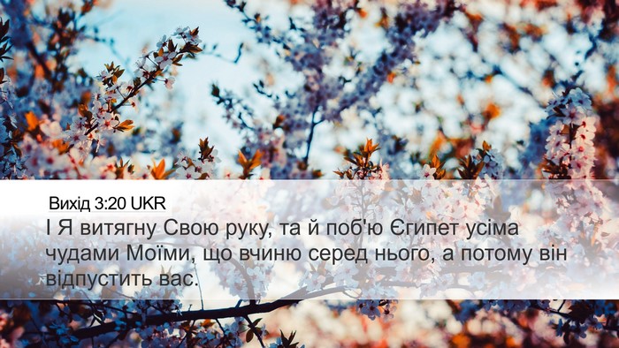 Вихід 3:20 UKR Bible Verse Image