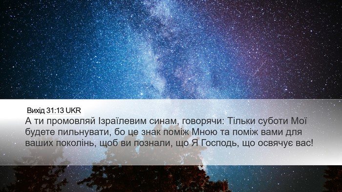 Вихід 31:13 UKR Bible Verse Image