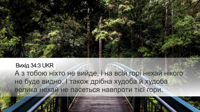 Вихід 34:3 UKR Bible Verse Image