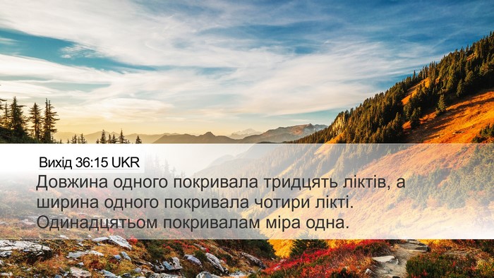 Вихід 36:15 UKR Desktop Wallpaper - Довжина одного покривала - Desktop Bible Verse Wallpaper