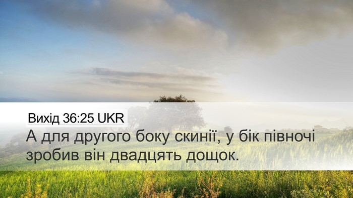 Вихід 36:25 UKR Desktop Wallpaper - А для другого боку скинії, - Desktop Bible Verse Wallpaper