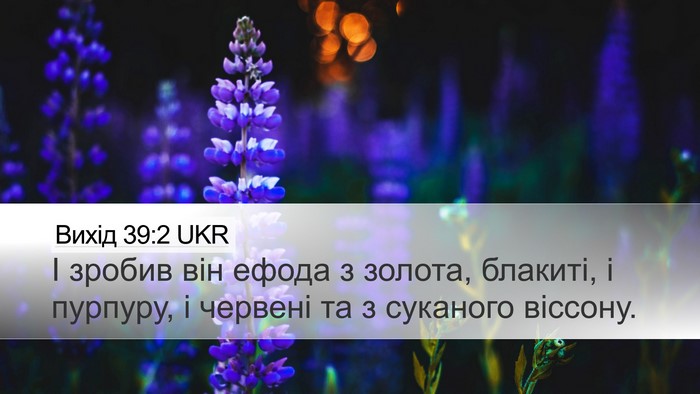 Вихід 39:2 UKR Bible Verse Image