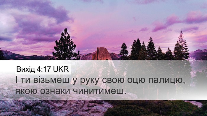 Вихід 4:17 UKR Bible Verse Image