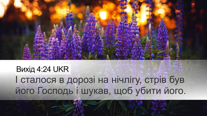 Вихід 4:24 UKR Bible Verse Image