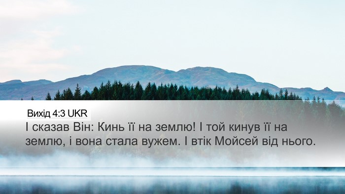 Вихід 4:3 UKR Bible Verse Image