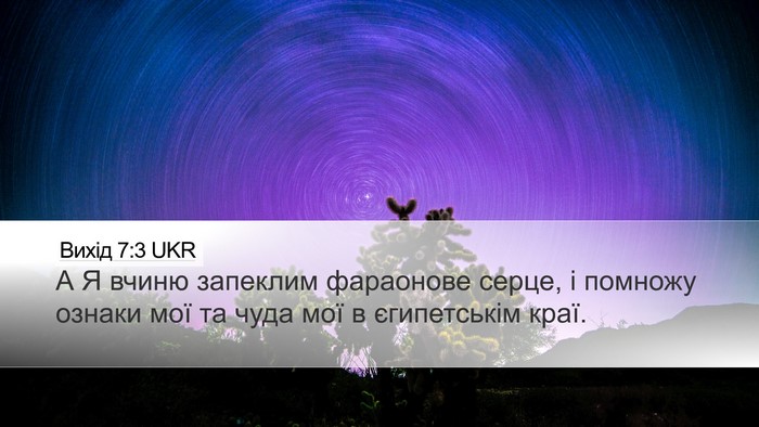 Вихід 7:3 UKR Bible Verse Image