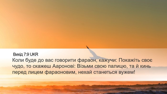Вихід 7:9 UKR Bible Verse Image