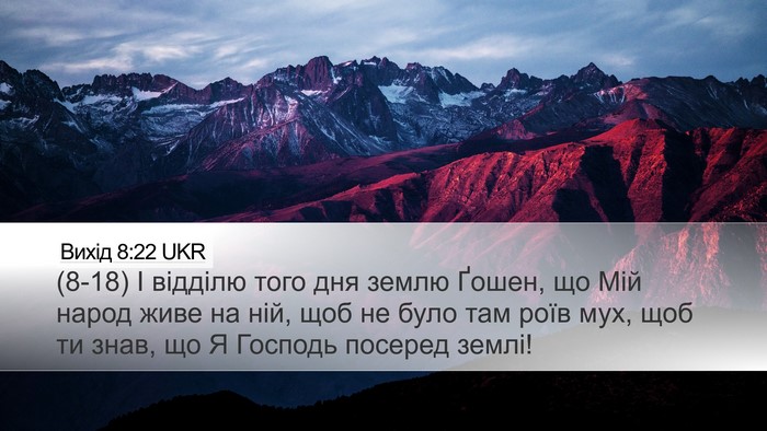 Вихід 8:22 UKR Bible Verse Image