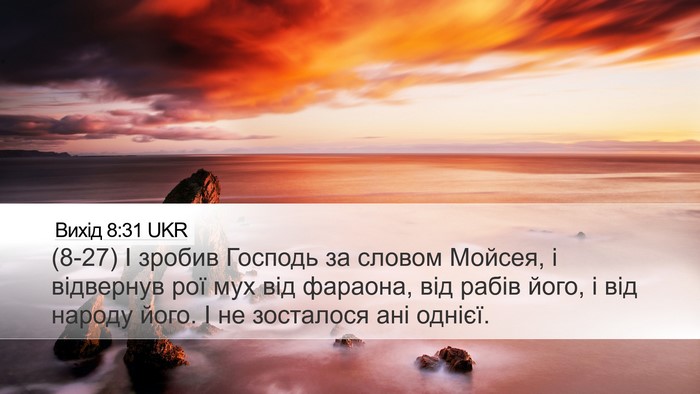 Вихід 8:31 UKR Desktop Wallpaper - (8-27) І зробив Господь за - Desktop Bible Verse Wallpaper