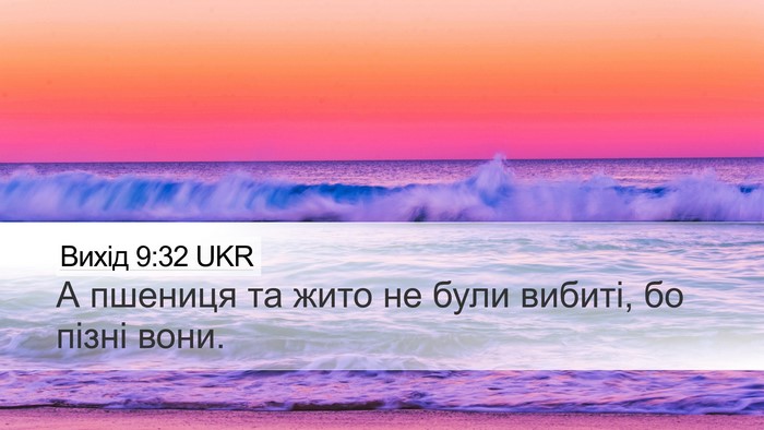 Вихід 9:32 UKR Bible Verse Image