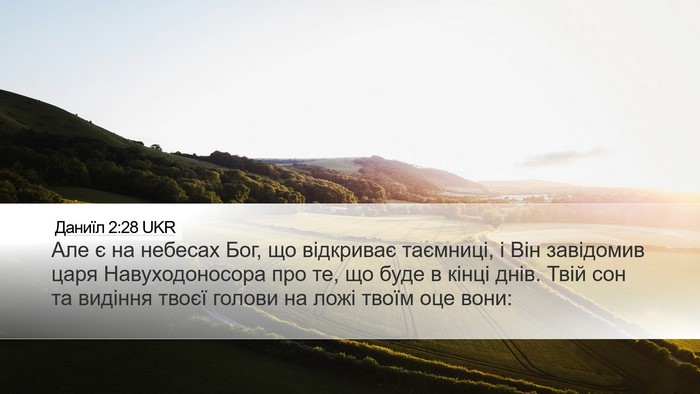 Даниїл 2:28 UKR Bible Verse Image