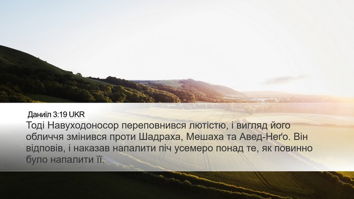 Даниїл 3:19 UKR Bible Verse Image