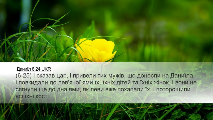 Даниїл 6:24 UKR Bible Verse Image