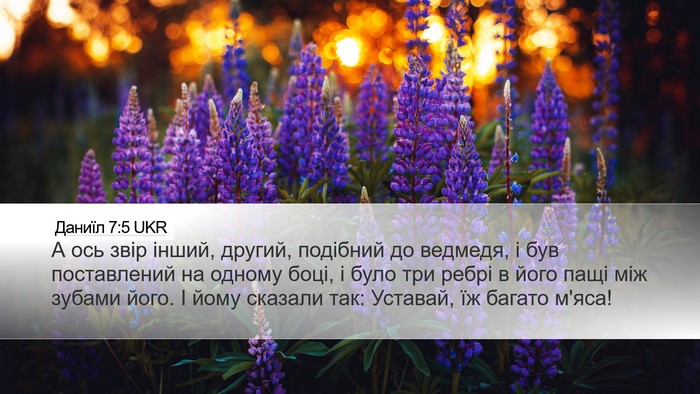 Даниїл 7:5 UKR Bible Verse Image