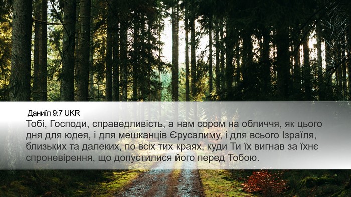 Даниїл 9:7 UKR Bible Verse Image