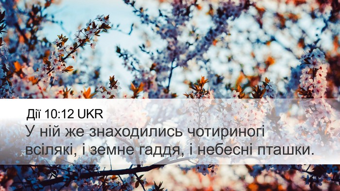 Дії 10:12 UKR Bible Verse Image