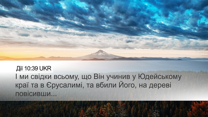 Дії 10:39 UKR Bible Verse Image