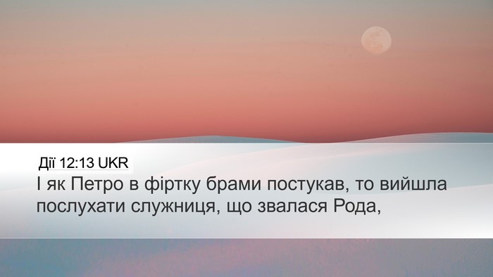 Дії 12:13 UKR Bible Verse Image