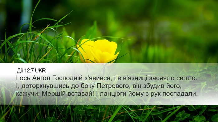 Дії 12:7 UKR Bible Verse Image