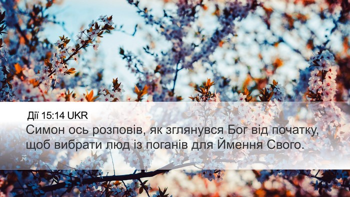 Дії 15:14 UKR Bible Verse Image