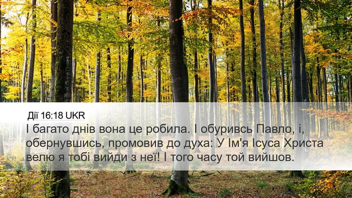 Дії 16:18 UKR Bible Verse Image