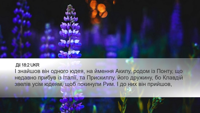Дії 18:2 UKR Bible Verse Image