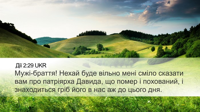 Дії 2:29 UKR Bible Verse Image