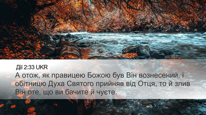 Дії 2:33 UKR Bible Verse Image