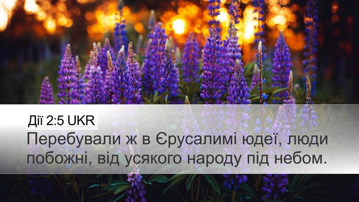 Дії 2:5 UKR Bible Verse Image