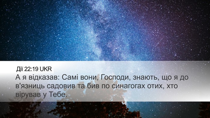 Дії 22:19 UKR Bible Verse Image