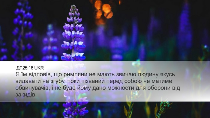 Дії 25:16 UKR Bible Verse Image