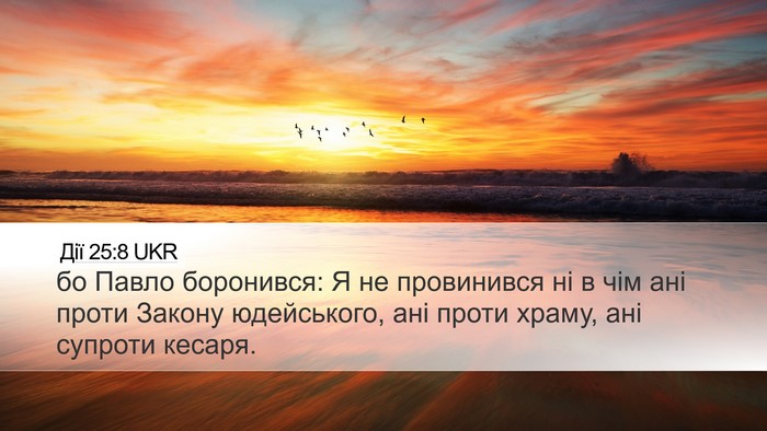 Дії 25:8 UKR Bible Verse Image