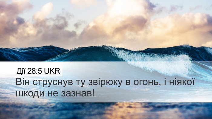 Дії 28:5 UKR Bible Verse Image