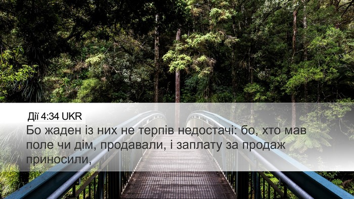 Дії 4:34 UKR Bible Verse Image